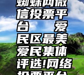 蜘蛛网微信投票平台   爱民区最美爱民集体评选!网络投票平台