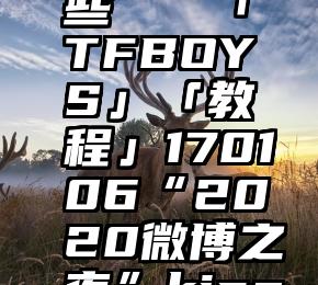 人工投票平台的哪些   「TFBOYS」「教程」170106“2020微博之夜”king榜投票教程