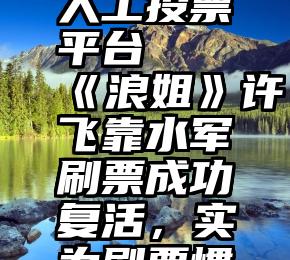 微信刷票人工投票平台   《浪姐》许飞靠水军刷票成功复活，实为刷票惯犯