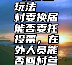 微信投票 有哪些玩法   村委换届能否委托投票，在外人员能否回村参加选举，官方答复