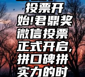 刷票的投票软件   投票开始!君鼎奖微信投票正式开启,拼口碑拼实力的时刻到了,时长...