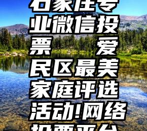 石家庄专业微信投票   爱民区最美家庭评选活动!网络投票平台