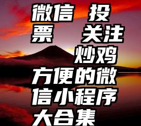 微信 投票  关注   炒鸡方便的微信小程序大合集