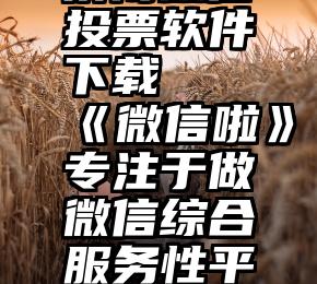 济南微信投票软件下载   《微信啦》专注于做微信综合服务性平台