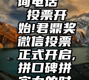 江西省微信投票咨询电话   投票开始!君鼎奖微信投票正式开启,拼口碑拼实力的时刻到了,时长仅4天