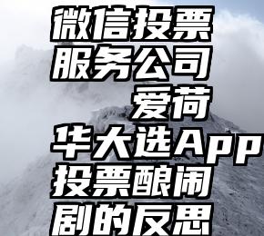 微信投票服务公司   爱荷华大选App投票酿闹剧的反思