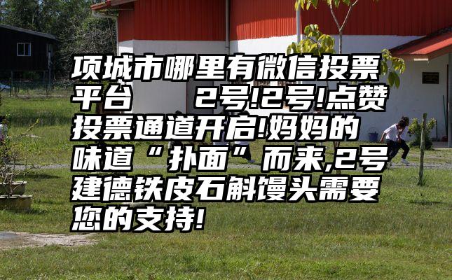 项城市哪里有微信投票平台   2号!2号!点赞投票通道开启!妈妈的味道“扑面”而来,2号建德铁皮石斛馒头需要您的支持!