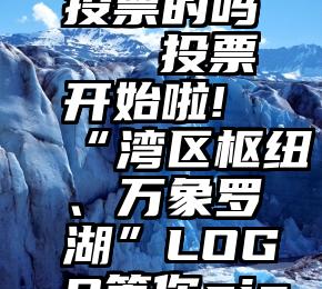 有专业刷投票的吗   投票开始啦!“湾区枢纽、万象罗湖”LOGO等你pick