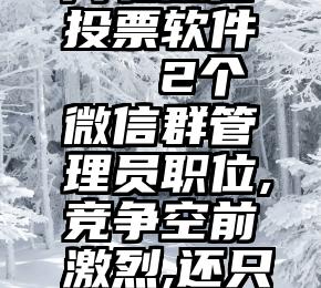 河北微信投票软件   2个微信群管理员职位,竞争空前激烈,还只是副的!