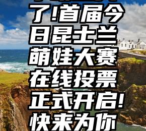 微信免费投票软件   昆州小明星火了!首届今日昆士兰萌娃大赛在线投票正式开启!快来为你喜爱的萌娃投上一票吧!(第一组萌娃)