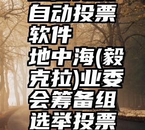 微信免费自动投票软件   地中海(毅克拉)业委会筹备组选举投票指南