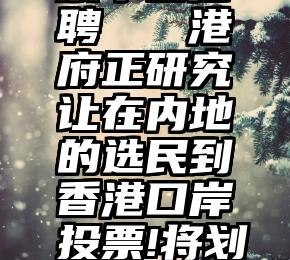 微信刷投票平台招聘   港府正研究让在内地的选民到香港口岸投票!将划定禁止拉票区