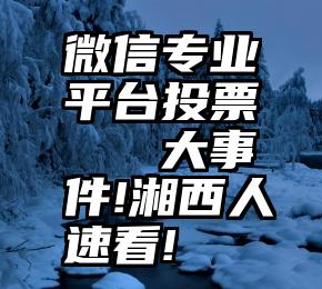 微信专业平台投票   大事件!湘西人速看!