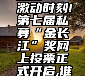 微信投票互投   激动时刻!第七届私募“金长江”奖网上投票正式开启,谁最让你“心...