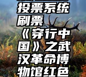 莱阳微信投票系统刷票   《穿行中国》之武汉革命博物馆红色场馆群