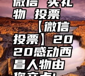 微信 买礼物 投票   【微信投票】2020感动西昌人物由您亲点!