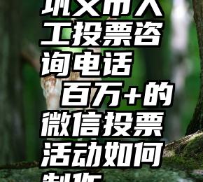 巩义市人工投票咨询电话   百万+的微信投票活动如何制作