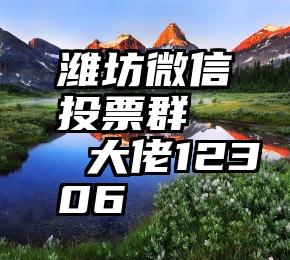 潍坊微信投票群   大佬12306