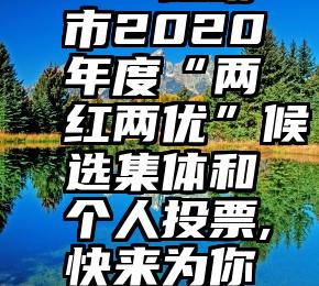 网络投票可以在淘宝上买吗   昆明市2020年度“两红两优”候选集体和个人投票,快来为你心目中的市“两红两优”打Call