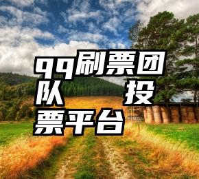 qq刷票团队   投票平台