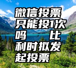 微信投票只能投1次吗   比利时拟发起投票