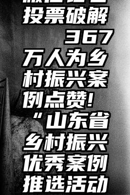 微信钻石投票破解   367万人为乡村振兴案例点赞!“山东省乡村振兴优秀案例推选活动”...