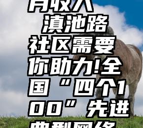 微信投票月收入   滇池路社区需要你助力!全国“四个100”先进典型网络投票启动