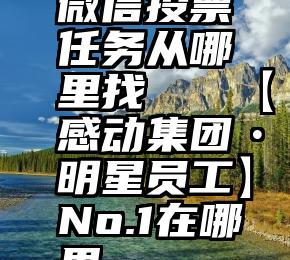 微信投票任务从哪里找   【感动集团•明星员工】No.1在哪里