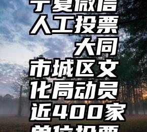 宁夏微信人工投票   大同市城区文化局动员近400家单位投票