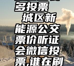 微信怎么多投票   城区新能源公交票价听证会微信投票,谁在刷票