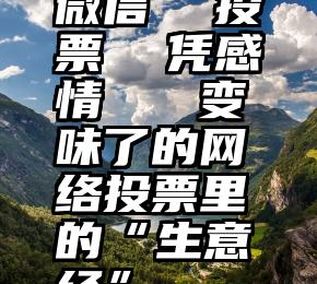 微信  投票  凭感情   变味了的网络投票里的“生意经”