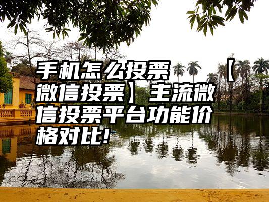 手机怎么投票   【微信投票】主流微信投票平台功能价格对比!