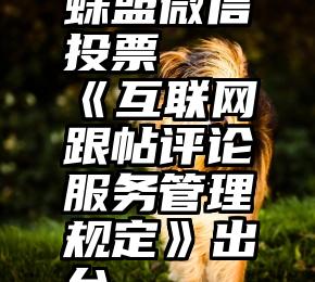 蛛盟微信投票   《互联网跟帖评论服务管理规定》出台