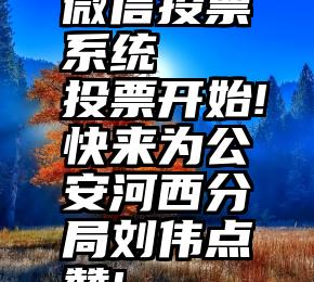 微信投票系统   投票开始!快来为公安河西分局刘伟点赞!