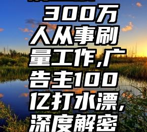 微信在哪刷投票   300万人从事刷量工作,广告主100亿打水漂,深度解密流量造假术