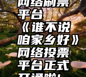 网络刷票平台   《谁不说咱家乡好》网络投票平台正式开通啦!