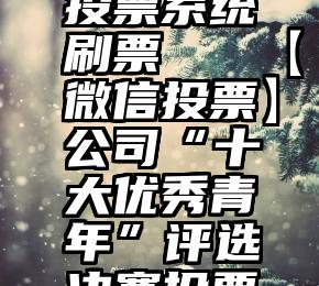 乐陵微信投票系统刷票   【微信投票】公司“十大优秀青年”评选决赛投票~