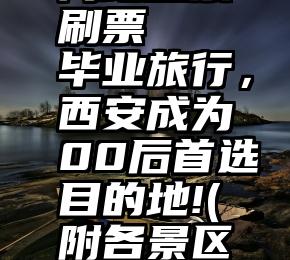 网站投票刷票   毕业旅行，西安成为00后首选目的地!(附各景区优惠政策)