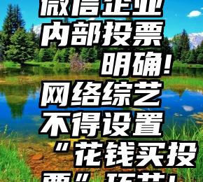 微信企业内部投票   明确!网络综艺不得设置“花钱买投票”环节!