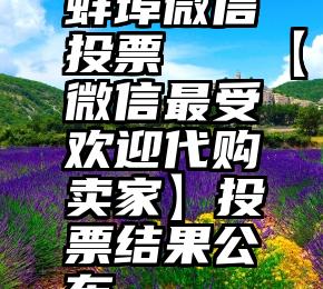 蚌埠微信投票   【微信最受欢迎代购卖家】投票结果公布