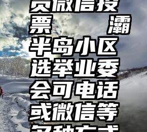 最美服务员微信投票   浐灞半岛小区选举业委会可电话或微信等多种方式投票