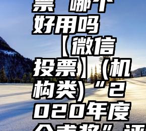 微信 投票 哪个好用吗   【微信投票】(机构类)“2020年度介甫奖”评选