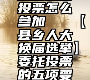 微信宝宝投票怎么参加   【县乡人大换届选举】委托投票的五项要求