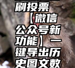 微信后台刷投票   【微信公众号新功能】一键导出历史图文数据