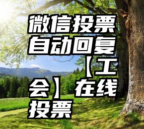 微信投票自动回复   【工会】在线投票