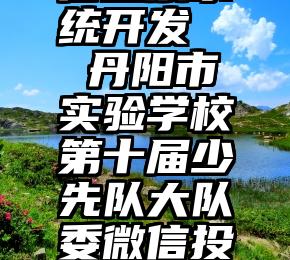 商河县微信投票系统开发   丹阳市实验学校第十届少先队大队委微信投票活动(小学)