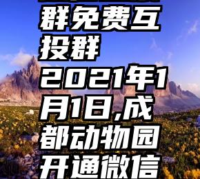 微信投票群免费互投群   2021年1月1日,成都动物园开通微信购票啦!