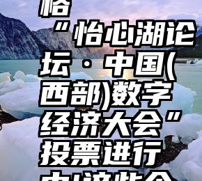 微信人工投票的价格   “怡心湖论坛·中国(西部)数字经济大会”投票进行中!这些企业新晋前五