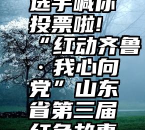 衡水微信投票   泰安入围选手喊你投票啦!“红动齐鲁·我心向党”山东省第三届红色故事讲解大赛公众投票开始啦!