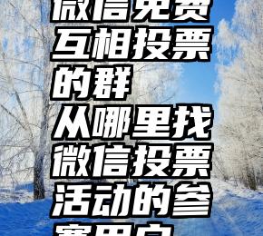 微信免费互相投票的群   从哪里找微信投票活动的参赛用户